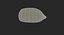 Corn Seed