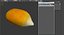 Corn Seed