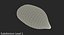 Corn Seed