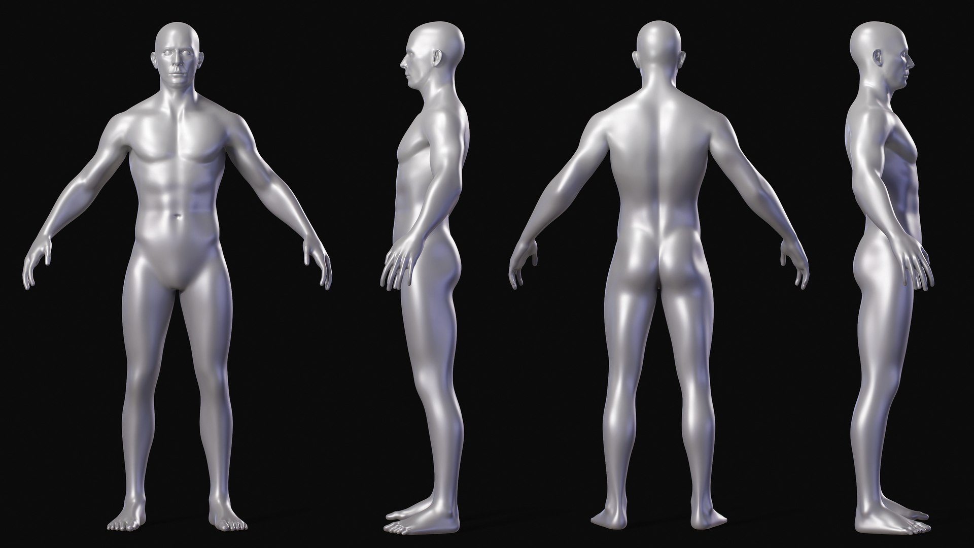 Realistic Body Base Mesh Set 3D Model - TurboSquid 2018171