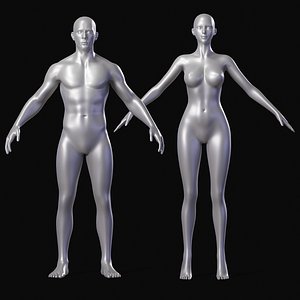 Realistic Body Base Mesh Set 3D model