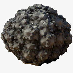 Desert Thing Six