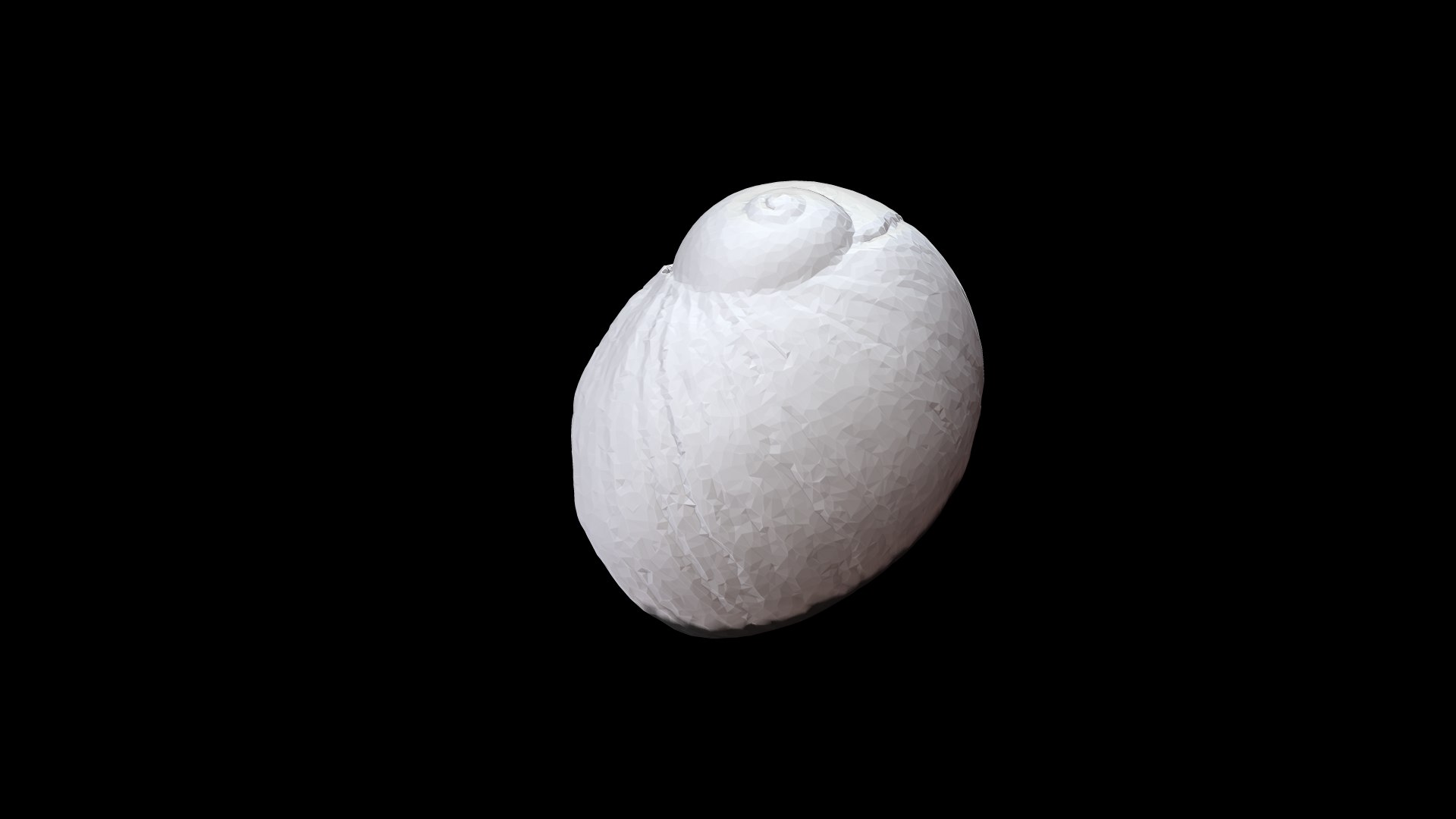 3D Seashell009 Model - TurboSquid 1784278