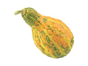 photorealistic scanned decorative gourd model