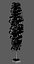 Cipres Tree