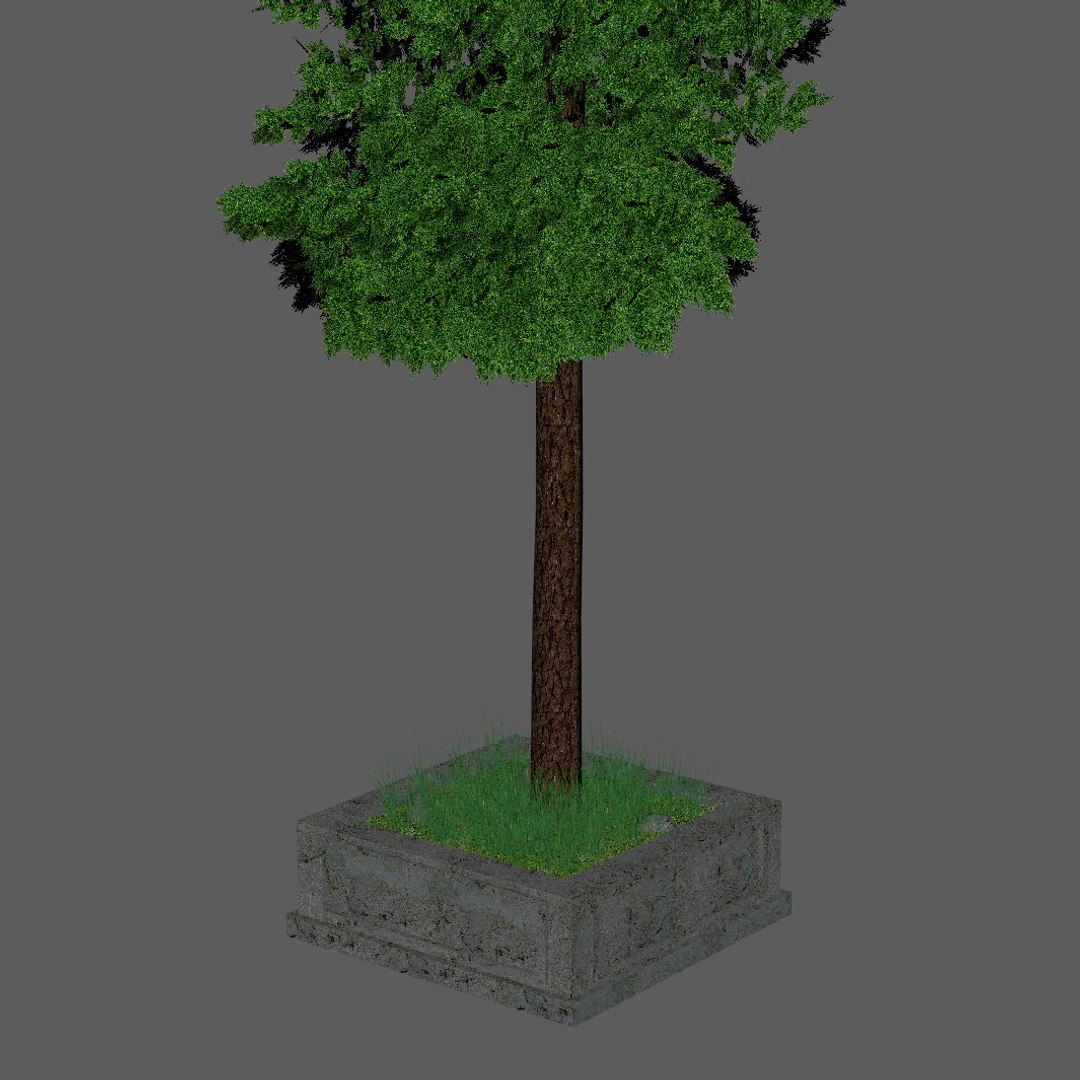 cipres tree 3D model https://p.turbosquid.com/ts-thumb/TY/Id6Tpv/keb1pkFR/tree3/jpg/1514475826/1920x1080/fit_q87/aed8c60716454741744a9298a9e08162ab78d9c1/tree3.jpg