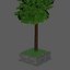 Cipres Tree