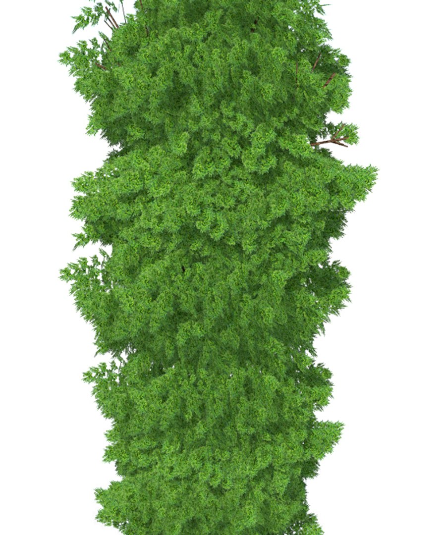 cipres tree 3D model https://p.turbosquid.com/ts-thumb/TY/Id6Tpv/p8UMSzHN/tree2/jpg/1514475826/1920x1080/fit_q87/5f3b05c5d0cfbf62bc10b18cbf52fdb81c32ad10/tree2.jpg