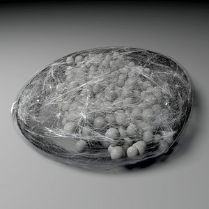 spider egg sac 3d model