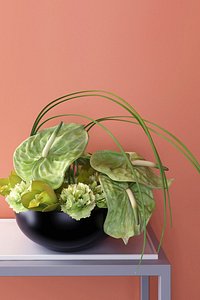 3D model green anthuriums orchids ikebana