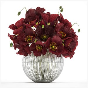 Bouquet Of Wild Flowers In A Vase With Poppy 443 3D model