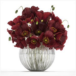 Bouquet Of Wild Flowers In A Vase With Poppy 443