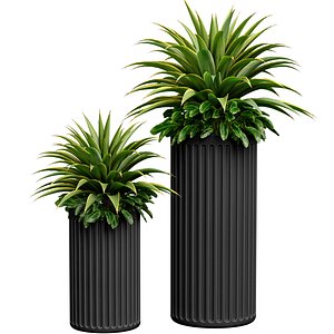 Decorative tropical plant Agave in a modern vase urn set 3D model