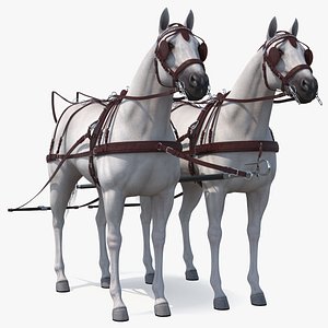 3D model Pair of White Breast Collar Harness