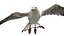 Seagull Fur Animated Rigged 3D