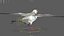 Seagull Fur Animated Rigged 3D