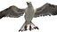 Seagull Fur Animated Rigged 3D