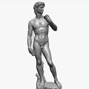 David MICHELANGELO best scan