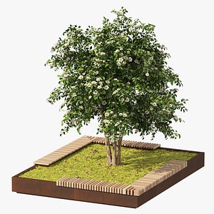 Landscape Garden Bed with spring Korean Stewartia Tree