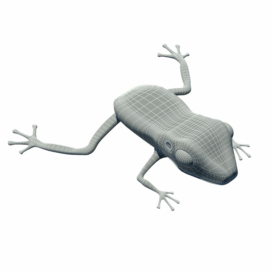 3d obj tree frog https://p.turbosquid.com/ts-thumb/TY/g8B3jU/4MKseJZH/wire4/png/1361805294/1920x1080/fit_q87/2ea69243fe7f47ae48ce5a3c599ec48d061f7977/wire4.jpg