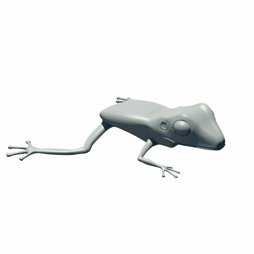 3d obj tree frog https://p.turbosquid.com/ts-thumb/TY/g8B3jU/5uxkNkJr/clay3/png/1361805235/1920x1080/fit_q87/3c1a2f76e2de4b5f1712a52be63ef508e1c4b338/clay3.jpg