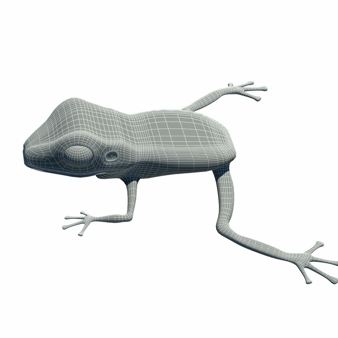 3d obj tree frog https://p.turbosquid.com/ts-thumb/TY/g8B3jU/CoqN3GY8/wire1/png/1361805254/1920x1080/fit_q87/7b7b8dc737f310abd09768525b0adecccfe72575/wire1.jpg