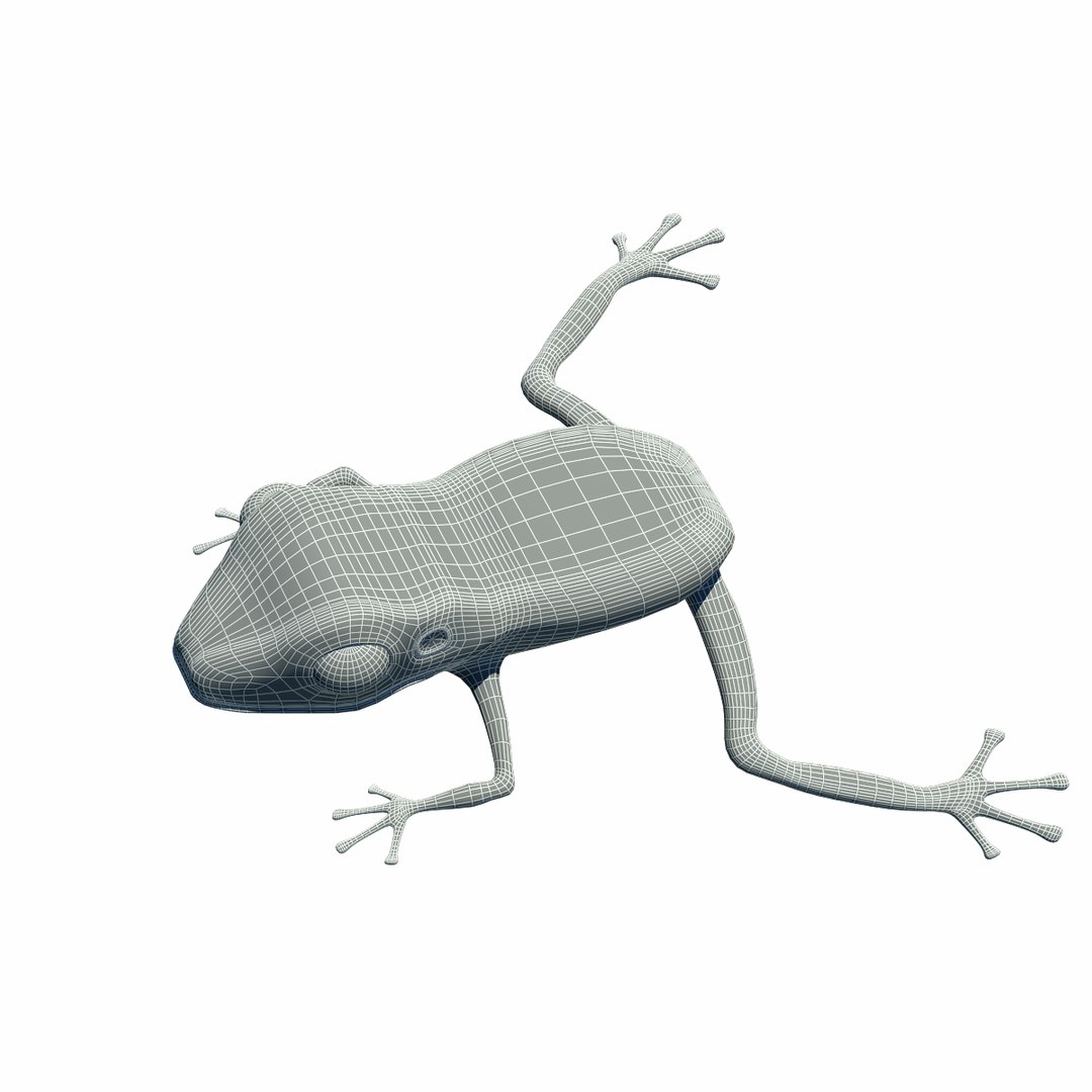 3d obj tree frog https://p.turbosquid.com/ts-thumb/TY/g8B3jU/S1uKhqa4/wire3/png/1361805277/1920x1080/fit_q87/b775e19b9f78832c0aaaad02deee7dc030f0ab12/wire3.jpg
