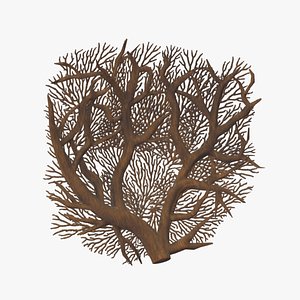 Alcyonacea coral Low Poly 3D