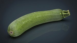 3D zucchini food vegetable