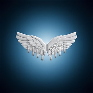 Winged Wall Mounted Coat Rack with Hooks 3D Printable 3D model