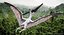 Pterossauro Pteranodon Branco Voando Pose