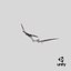 Pterossauro Pteranodon Branco Voando Pose