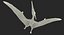 Pterossauro Pteranodon Branco Voando Pose