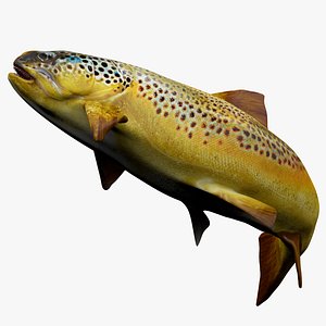 TROUT L1442 3D