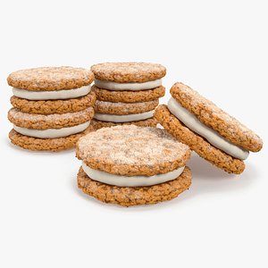 Oatmeal Sandwich Cookies With Filling 3D model