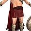 Spartan Warrior 3