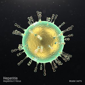 Hepatitis - Hepatitis C Virus