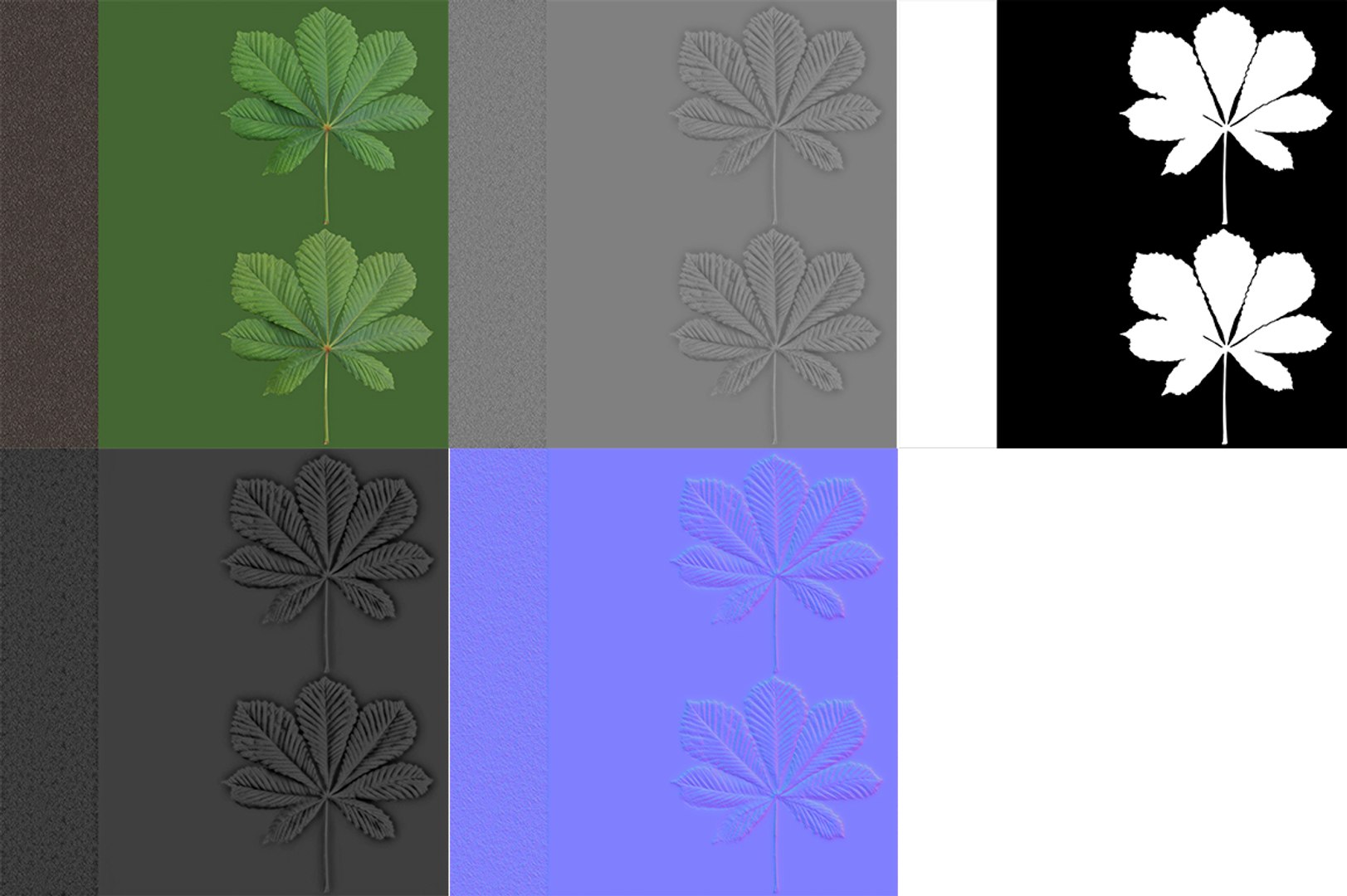 Horsechestnut Branch V1 3D model https://p.turbosquid.com/ts-thumb/TZ/nyWS3F/Mn/maps/jpg/1728035269/1920x1080/fit_q87/e1783ea180a94e4898ce3fb92ea4d29b7aec88ac/maps.jpg