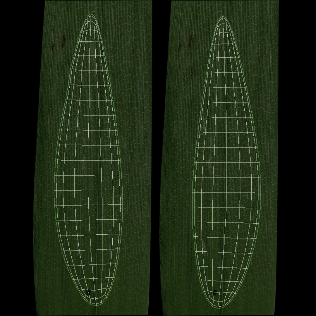 wall flower 3D https://p.turbosquid.com/ts-thumb/TZ/ofVxCG/7bOeYUL3/uvw/jpg/1529567067/1920x1080/fit_q87/e24043d3723c278ce93cd1cf24cd50f9eceadc26/uvw.jpg