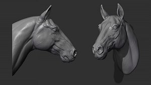 3D Horse  head