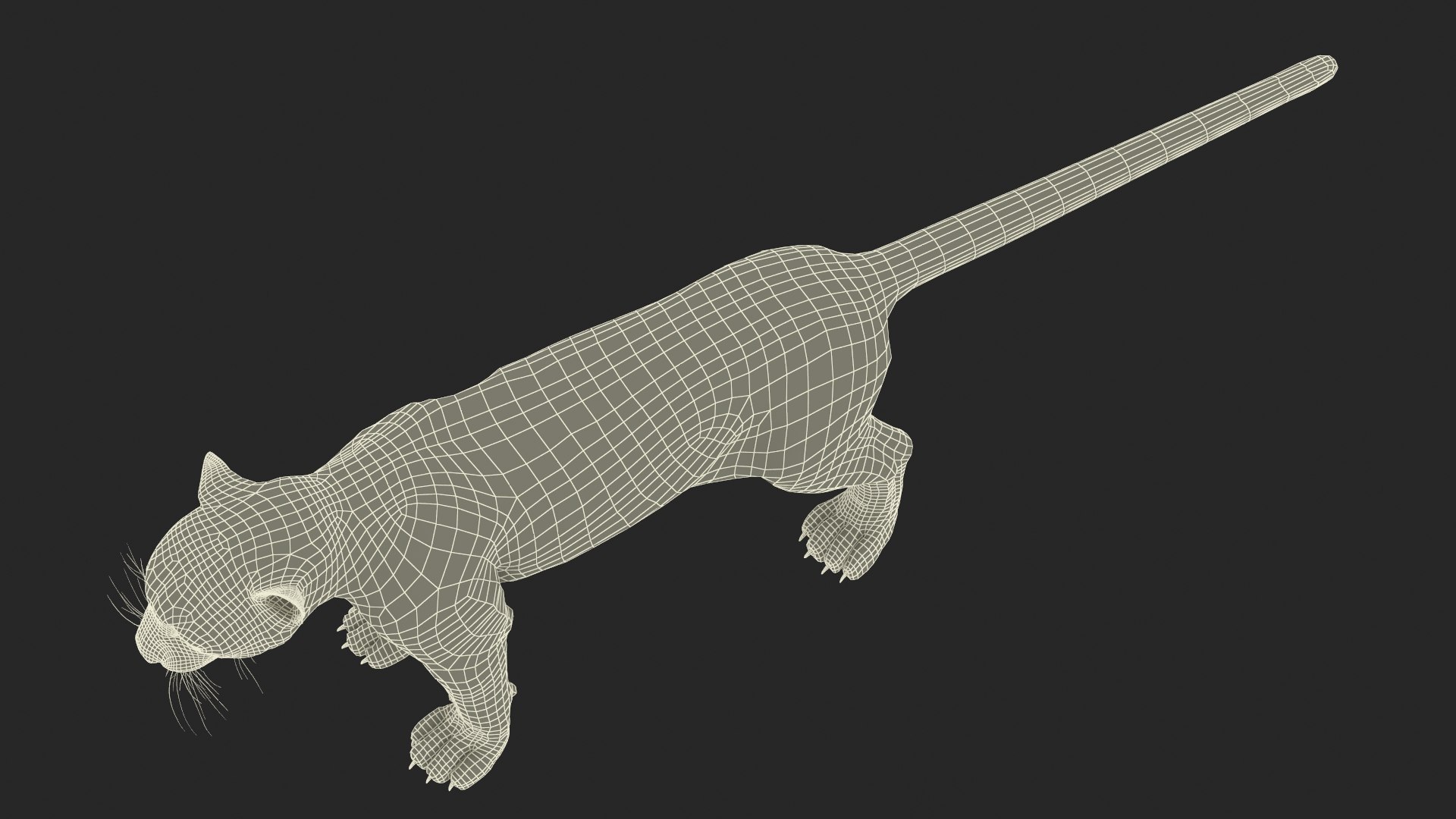Snow Leopard Rigged For Maya 3D Model - TurboSquid 2381684