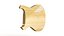 Guitar Body