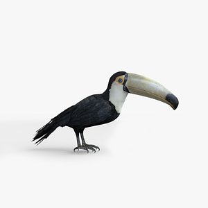 Toucan
