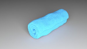 Towel Roll model