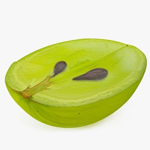 3D White Wine Grape Cross Section