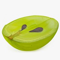 White Wine Grape Cross Section
