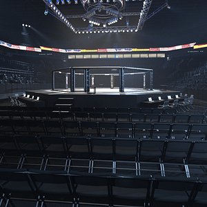 Mix Fight Arena