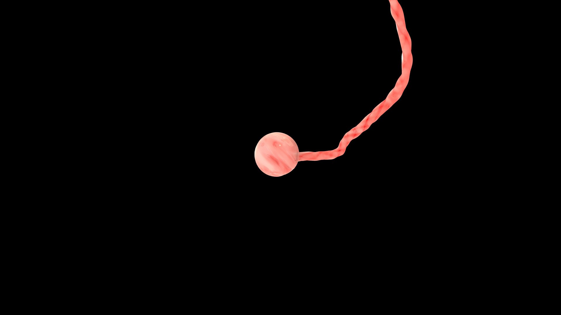 3D 2 Weeks Human Fetus Model - TurboSquid 2036750