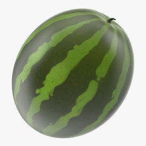 Cartoon Watermelon
