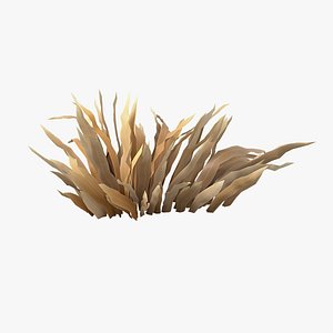 Cartoon Dry Grass 06